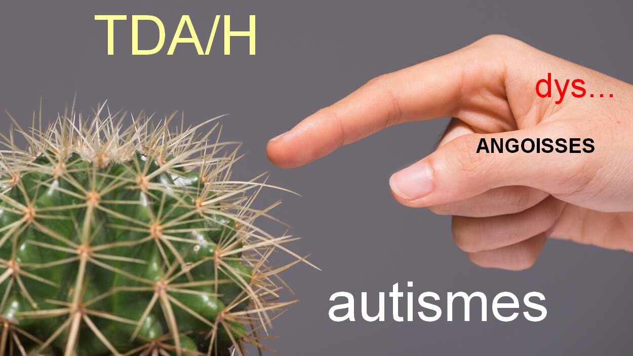 ARTICLE LEZAPE : La délicate question du diagnostic de l'autisme
