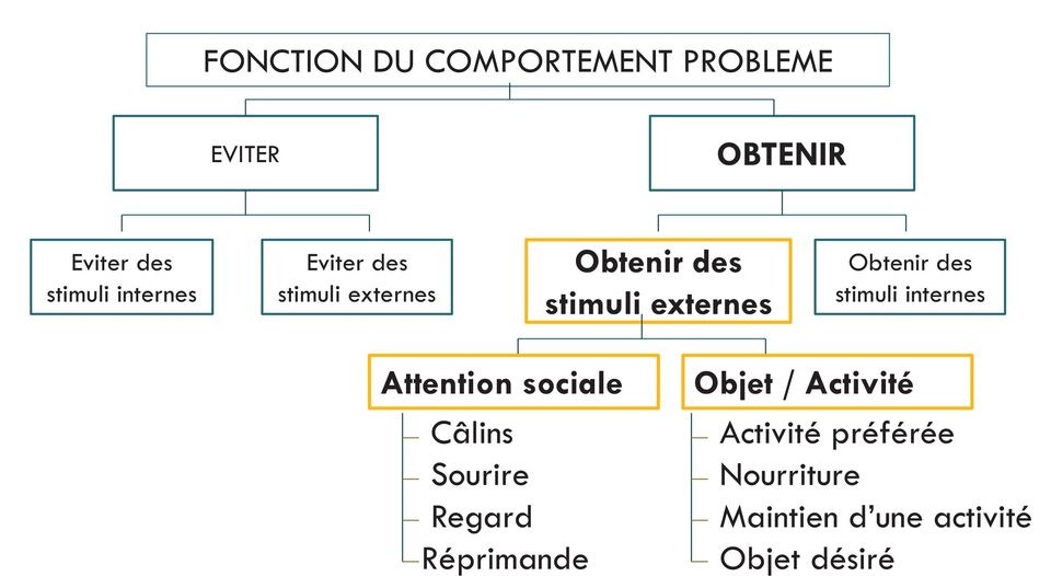 Evaluation du comportement : la fonction